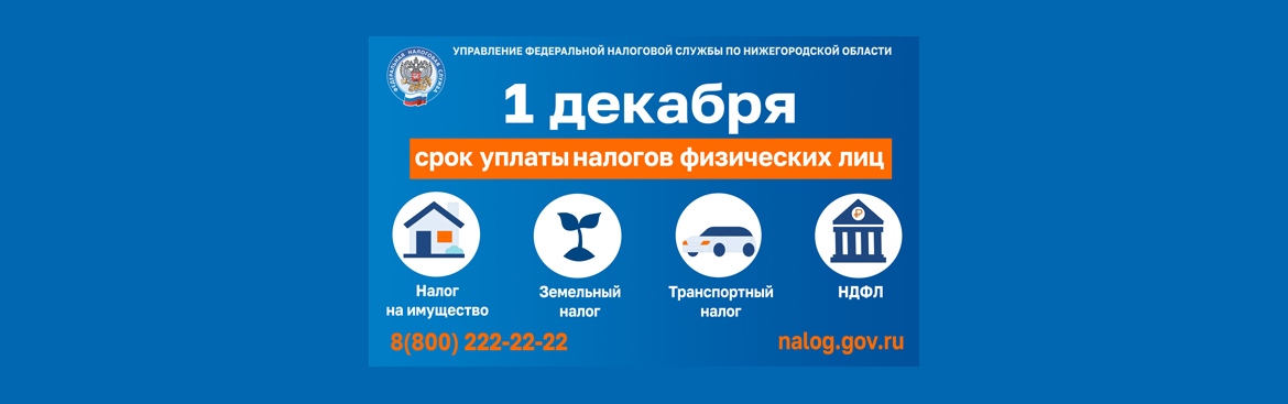 Налог2025