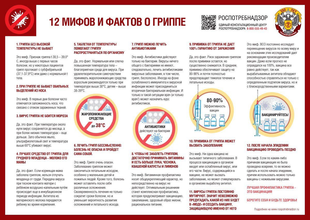 12 мифов и фактов о гриппе