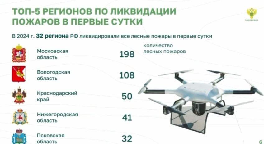 Нижегородская область вошла в топ-5 регионов страны по оперативной ликвидации лесных пожаров 