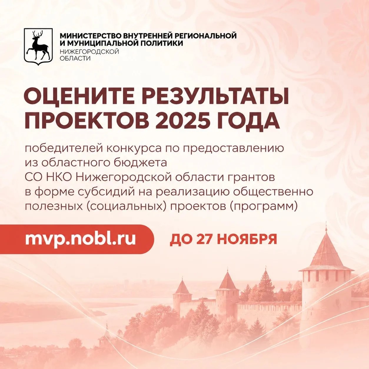 Нижегородцы могут проголосовать за лучшие проекты социально ориентированных НКО 2025 года