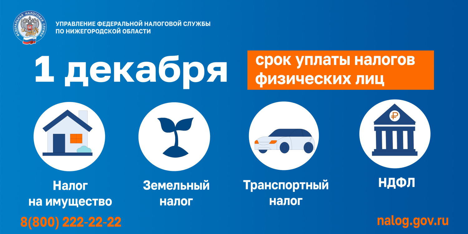 Нижегородцам напомнили о сроках уплаты налогов физических лиц