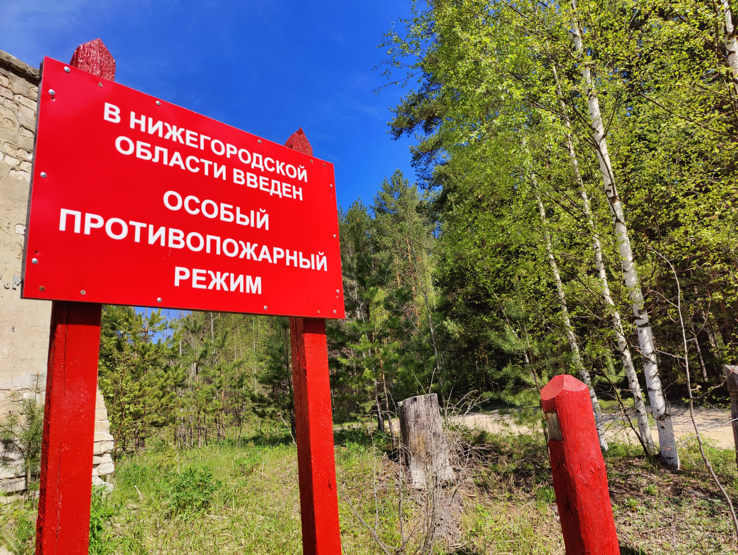 Минлесхоз напоминает нижегородцам о соблюдении правил пожарной безопасности в лесах в преддверии выходных