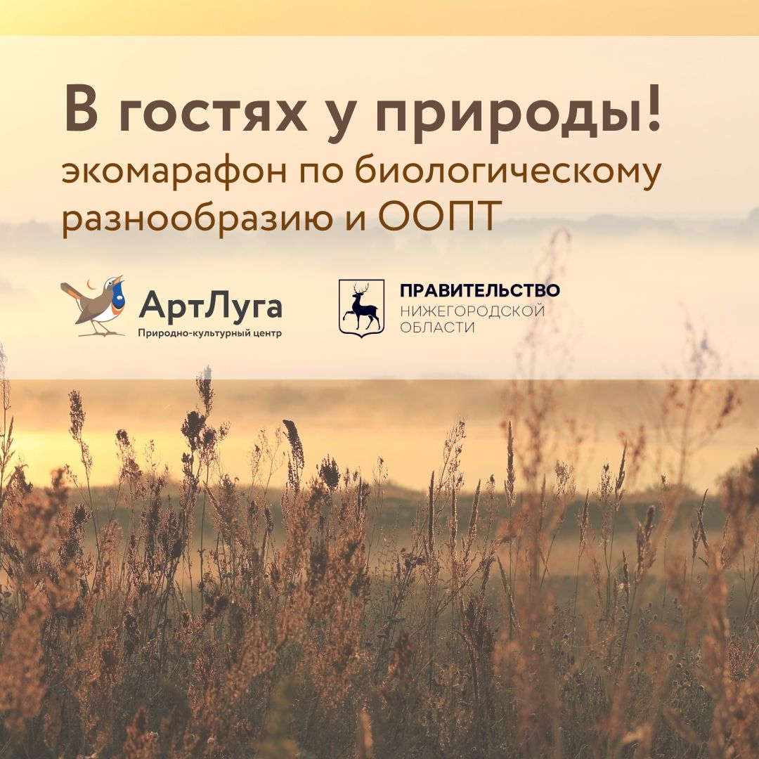 Нижегородцев приглашают присоединиться к семейному экомарафону по сохранению природного наследия «В гостях у природы» 