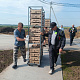 Новый птицеводческий комплекс запущен в Ардатовском округе при господдержке
